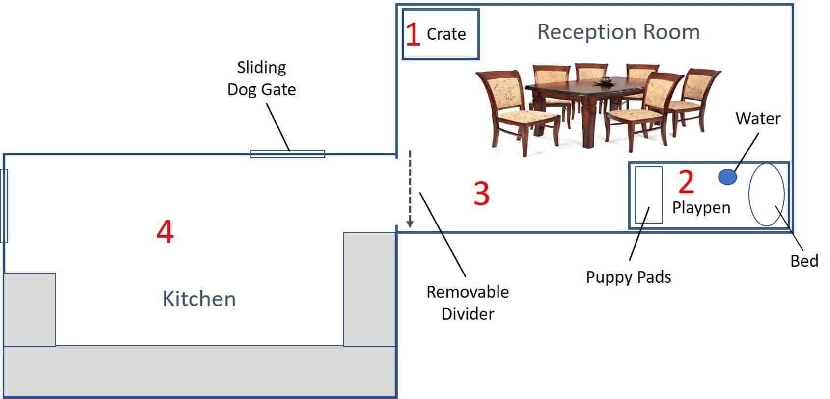 The Perfect Puppy Set Up Manage Your Puppy's Environment