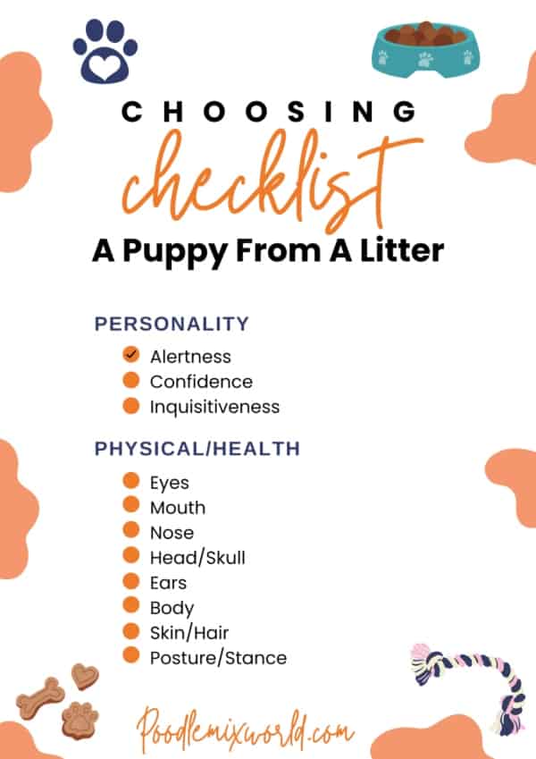 how-to-pick-a-puppy-from-a-litter-checklist